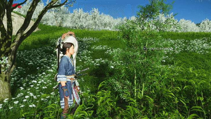 Young Bamboo Yotei River.png