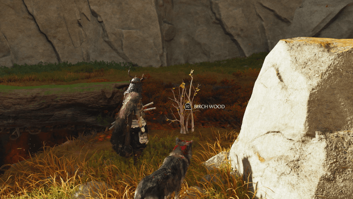 Precious Woods - Boar