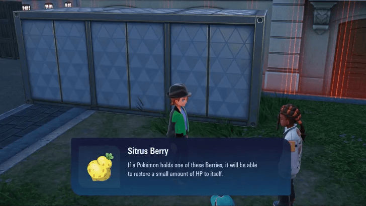 Sitrus Berry