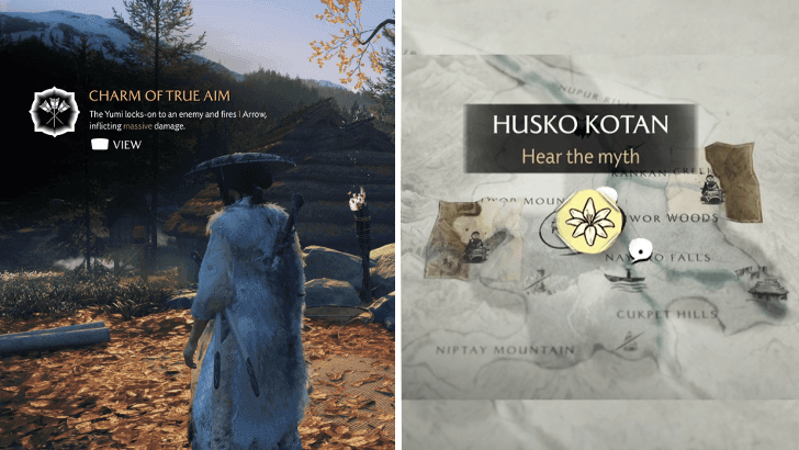 Charm of True Aim.png