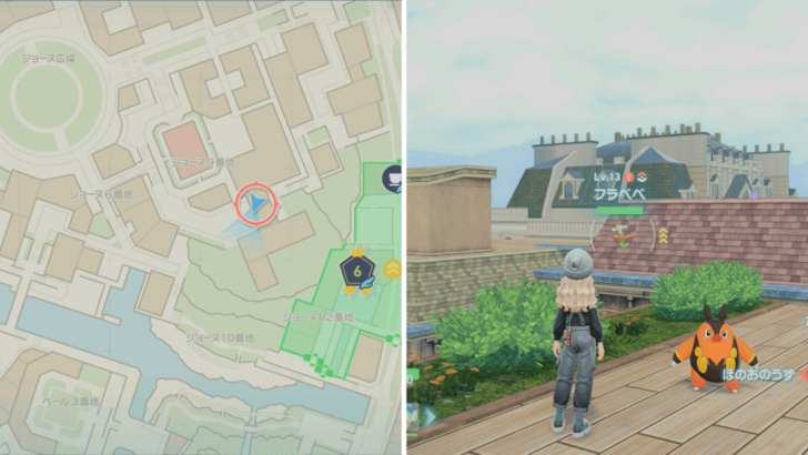 Orange Flabebe Location