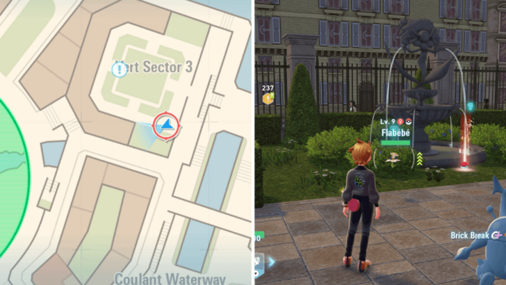 White Flabebe Location