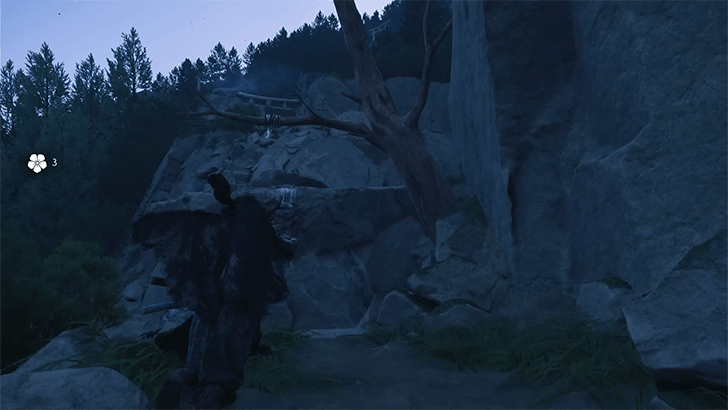 Blooming-Ridge-Shrine