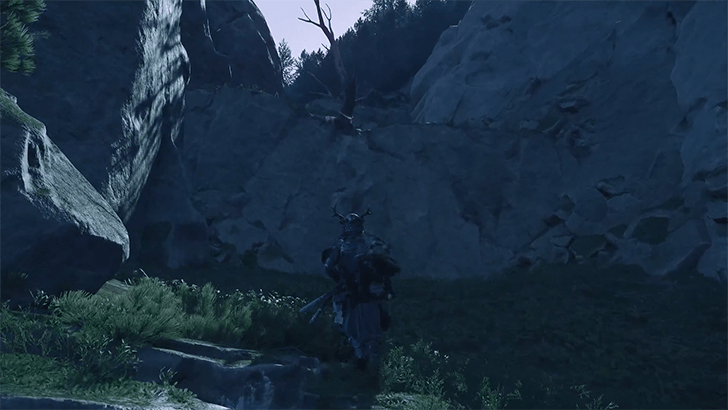 Blooming-Ridge-Shrine