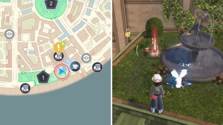 Red Flabebe Location