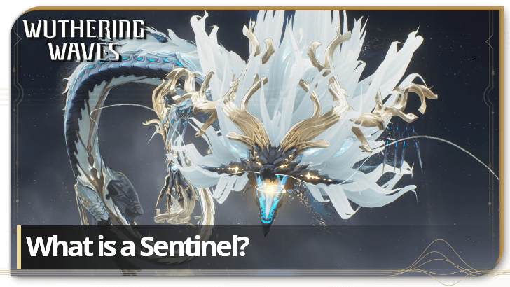 Wuthering Waves - What is a Sentinel?