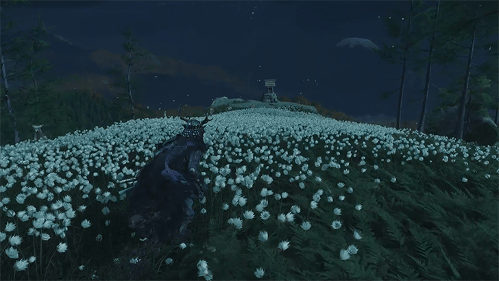 Faithful-Leap-Shrine