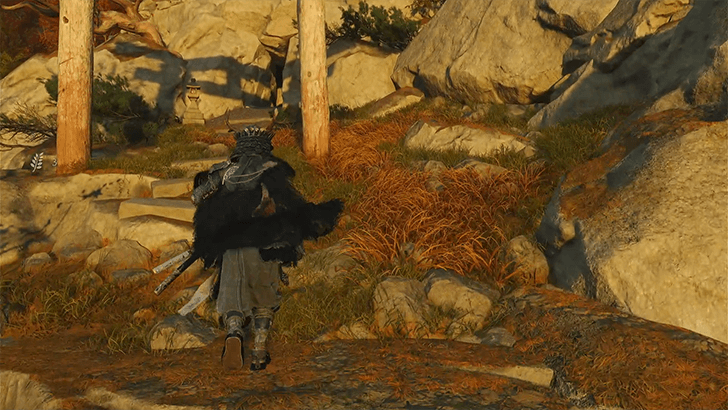 Faithful-Leap-Shrine