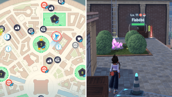 Blue Flabebe Location