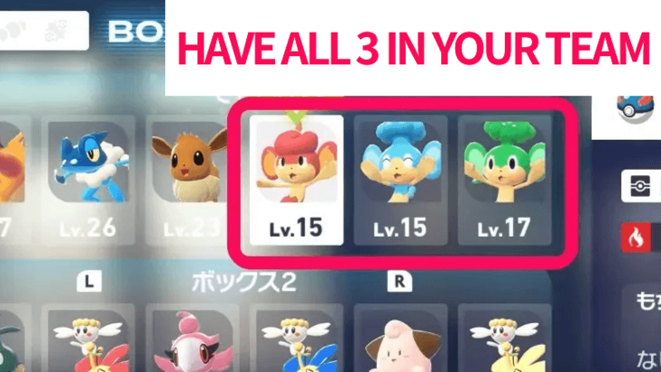 Have Pansage, Pansear, Panpour in Team