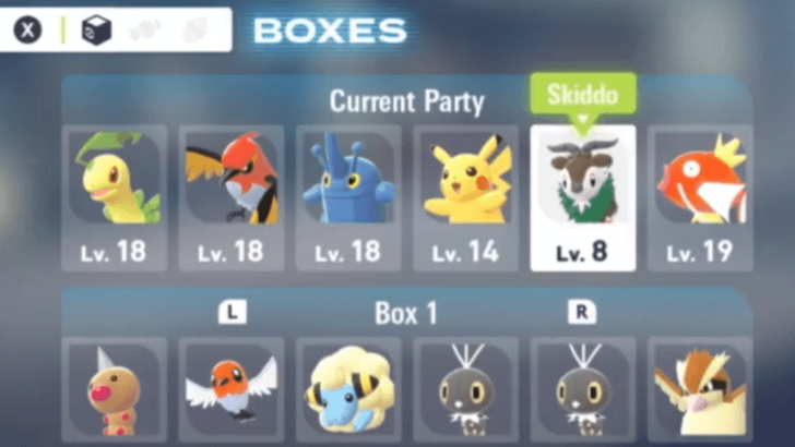 Skiddo in Party