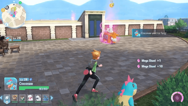 Rogue Mega Camerupt location