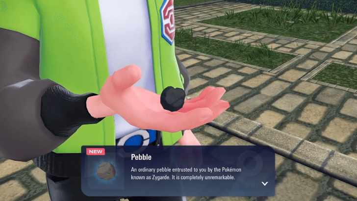 Pebble obtained from Zygarde