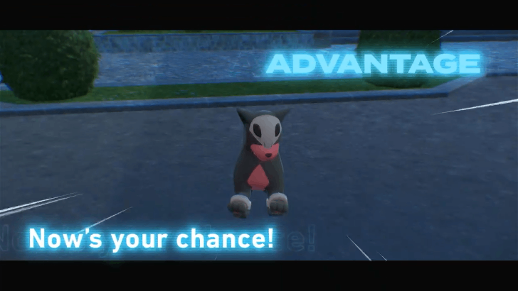 Sneak Up on Trainers