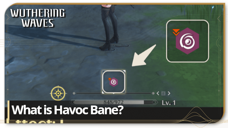 Wuthering Waves - Havoc Bane Explained
