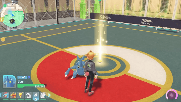 TM Ice Beam in Wild Zone 12