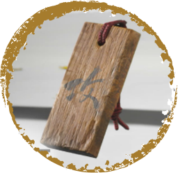 Charm of Fire Mastery