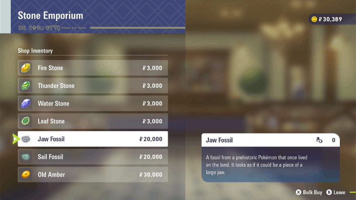 Stone Emporium Fossils