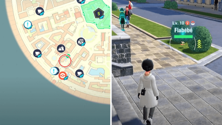 Orange Flabebe Location