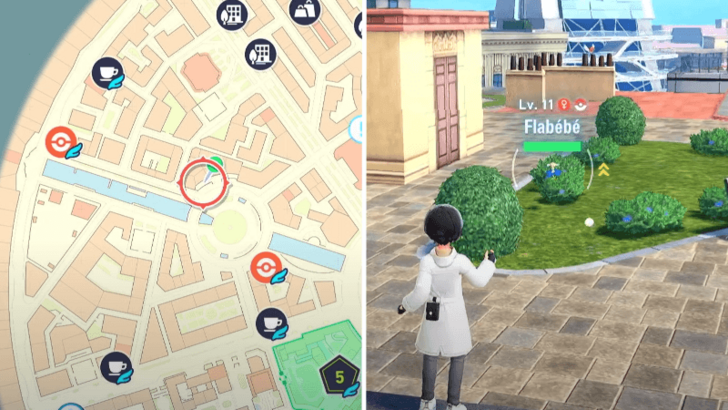 Blue Flabebe Location