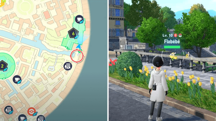 Yellow Flabebe Location