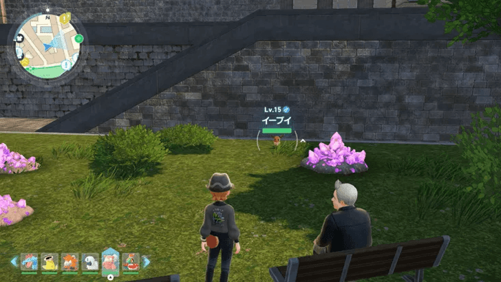 Eevee in Vert Sector 9 World Location