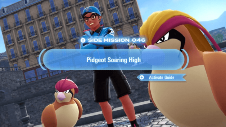 Pidgeot Soaring High