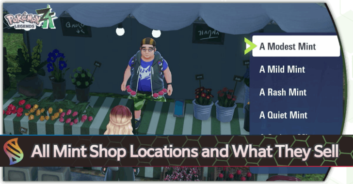 All Mint Shop Locations and Where to Buy Mints