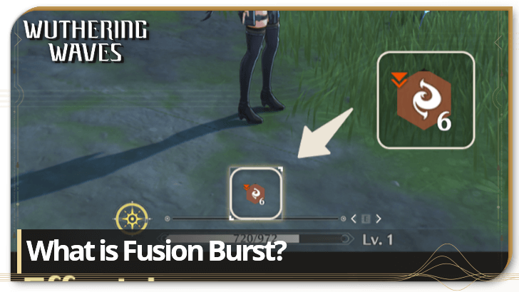 Wuthering Waves - Fusion Burst Explained