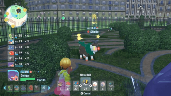 Catch an Alpha Skiddo