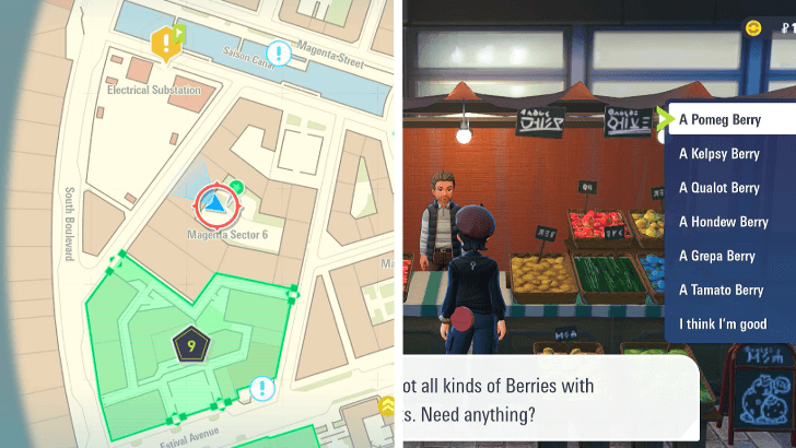 Berries to Use to Lower EVs