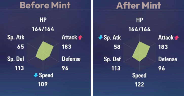 Mint Usage