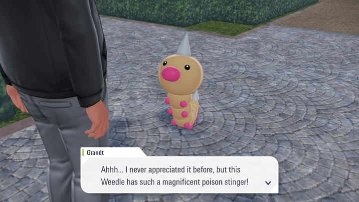 Alpha Weedle