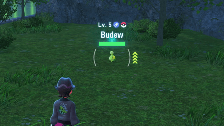 Budew Overworld