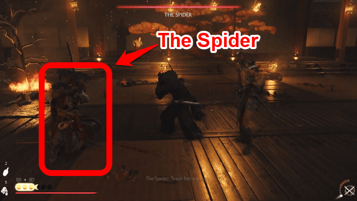 The Spider