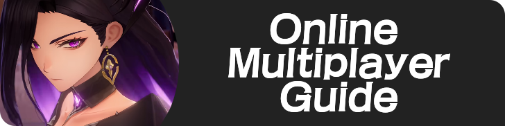 Online Multiplayer Guide