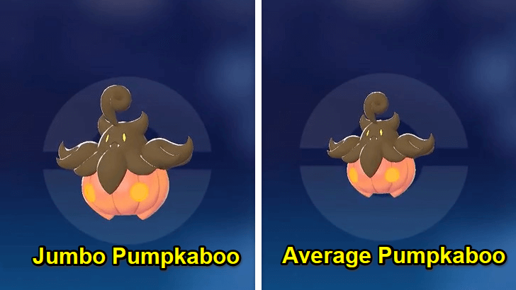 Jumbo Pumpkaboo Comparison