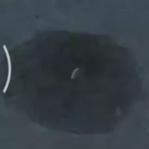 Pokemon Legends Z-A Onix Sign.png