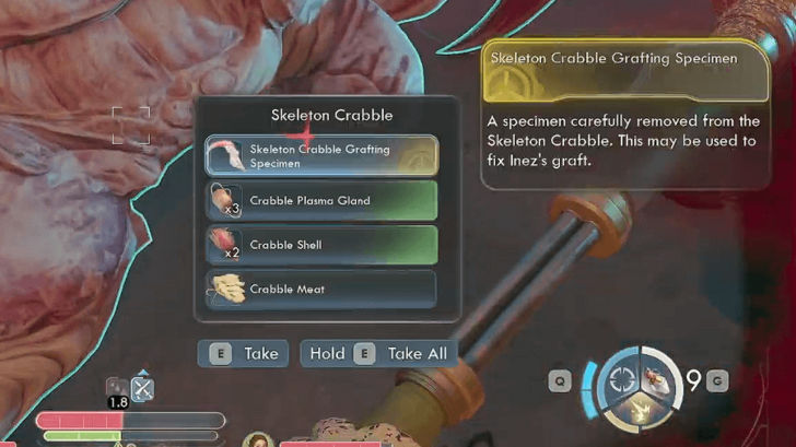 Skeleton Crabble Grafting Specimen