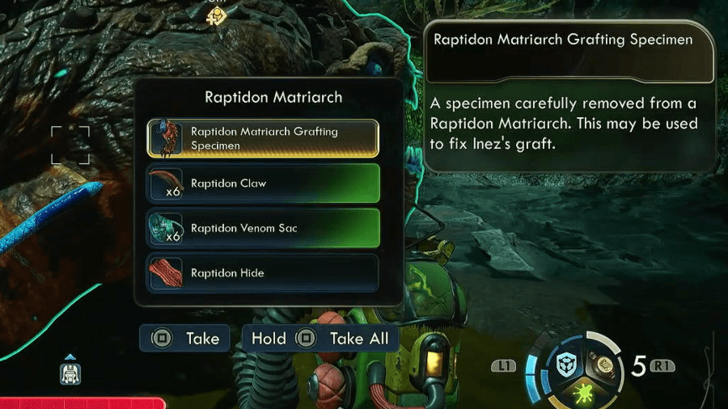 Raptidon Matriarch Grafting Specimen