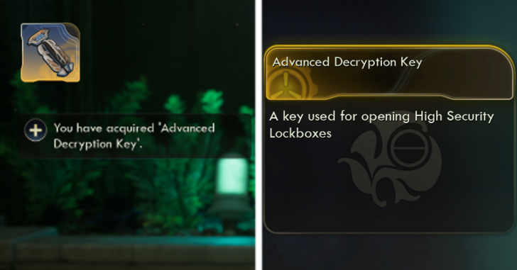 Advanced Decryption Key Acquired