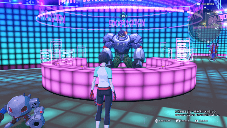 Participate in the Paradise Colosseum