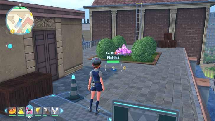 Blue Flabebe on a Roof Near Academie Etoile