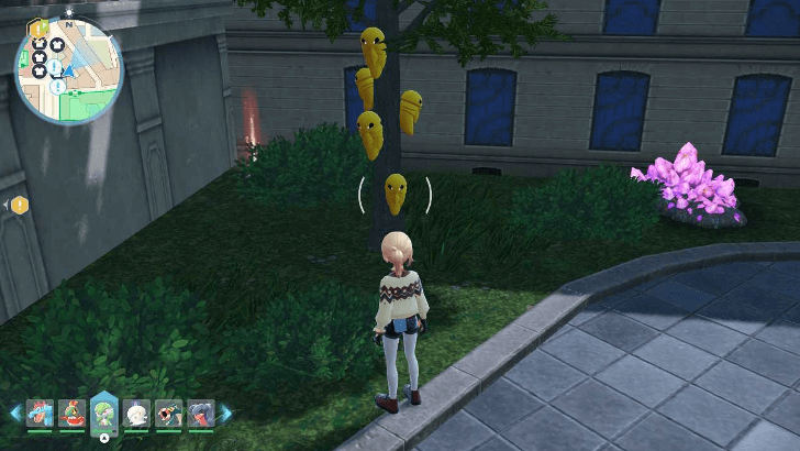 Kakuna Defense EV Training Spot