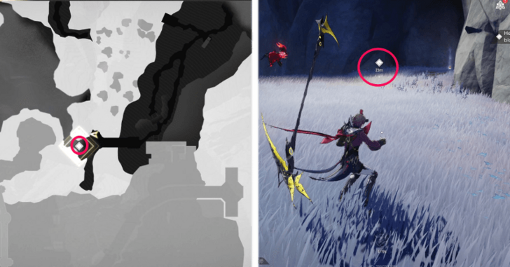 Investigate the Source in Icelake