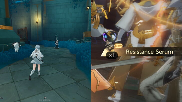 Duet Night Abyss Exploration Serum options