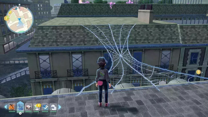How to Destroy Spider Webs