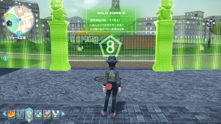 Wild Zone 8 Overworld Image