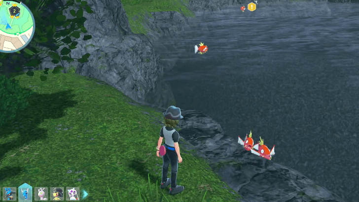 Magikarps in Wild Zone 2
