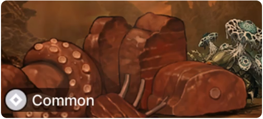 The Food Warehouse 3